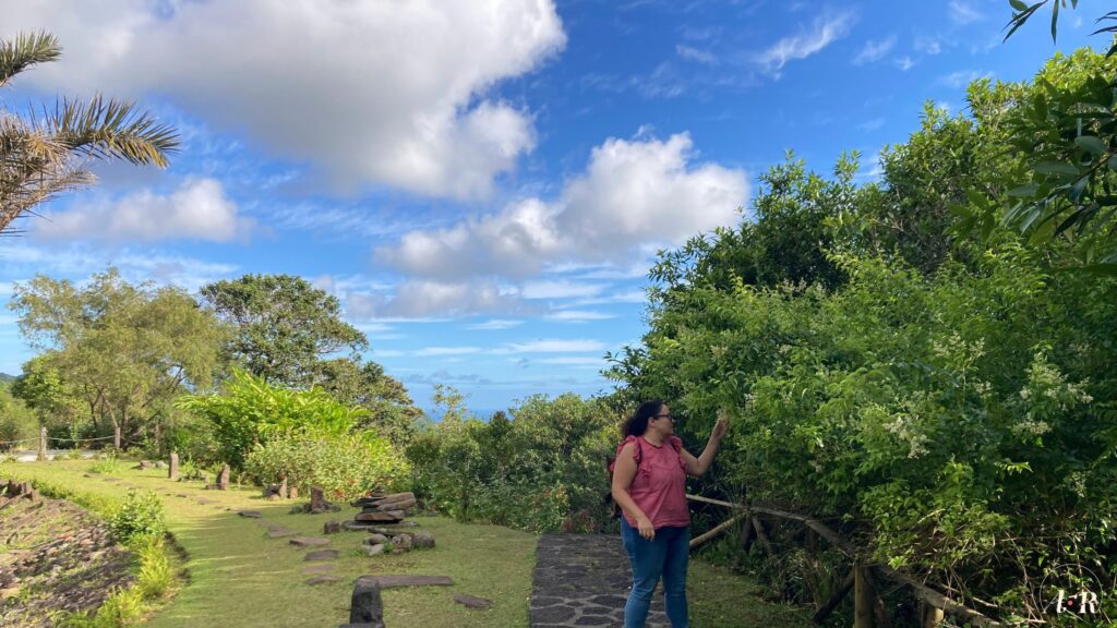 Business en ligne : 3 conseils (vraiment) utiles pour devenir libre financièrement